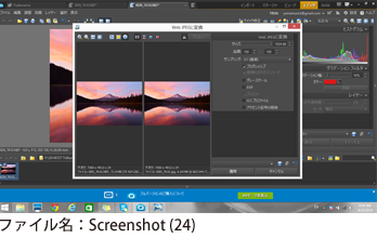 ファイル名：Screenshot (24)