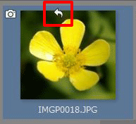 保存した画像の上部にある[戻る矢印]アイコンをクリックすると編集する前の画像に戻す事ができます。