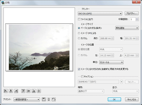 「印刷」画面が表示されます。