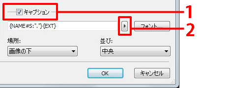 「キャプション」に[チェック]マークを付けます。
        ［横向き三角(▼)]アイコンをクリックします。